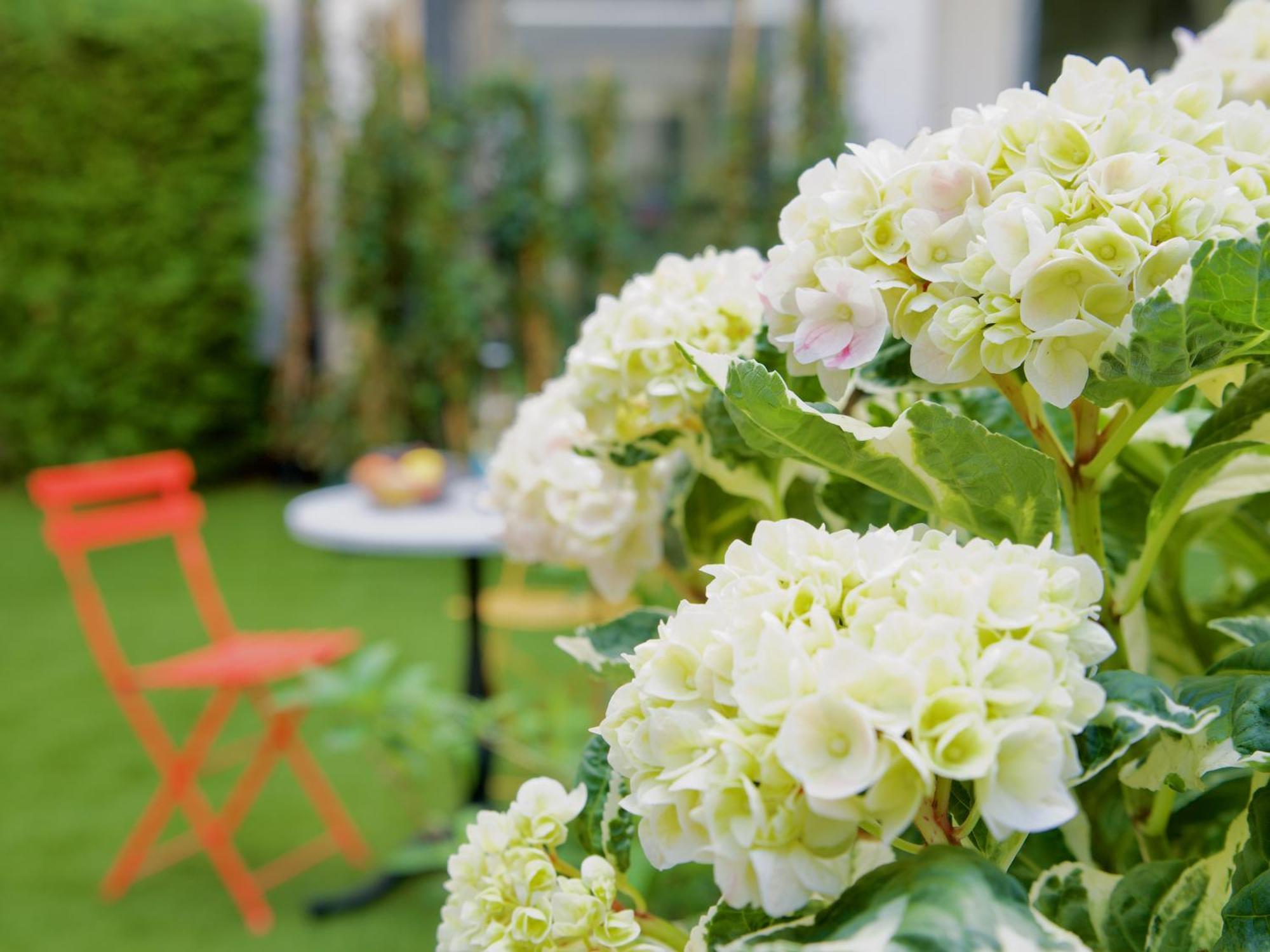Apartments Les Jardins Хамбург Екстериор снимка
